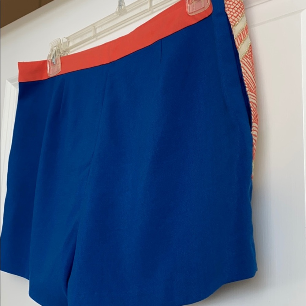 Embroidered Shorts - Picture 4 of 4